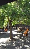 Туры в отель The Stirling Arms Hotel