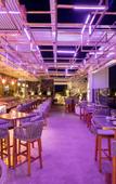 Туры в отель The Alva Hotel Brisbane, Vignette Collection by IHG