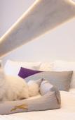 Туры в отель The Alva Hotel Brisbane, Vignette Collection by IHG