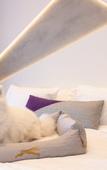Туры в отель The Alva Hotel Brisbane, Vignette Collection by IHG