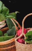 Туры в отель InterContinental Sorrento Mornington Peninsula by IHG
