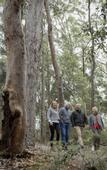 Туры в отель Spicers Sangoma Retreat - Adults Only