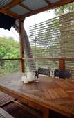 Туры в отель Spicers Sangoma Retreat - Adults Only