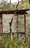 Туры в отель Spicers Sangoma Retreat - Adults Only