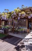 Туры в отель Spicers Sangoma Retreat - Adults Only