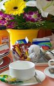 Туры в отель Arden Motel