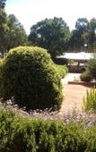 Туры в отель Travellers Rest Motel