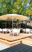 Туры в отель Horse and Jockey Hotel Homebush