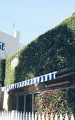 Туры в отель College Lawn Hotel - Hostel