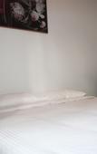 Туры в отель College Lawn Hotel - Hostel