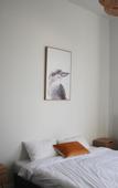 Туры в отель College Lawn Hotel - Hostel