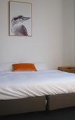 Туры в отель College Lawn Hotel - Hostel