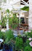 Туры в отель Shoreline Lodge Geraldton