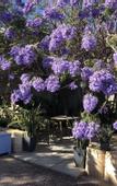 Туры в отель Shoreline Lodge Geraldton