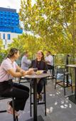 Туры в отель Tryp Adelaide by Wyndham