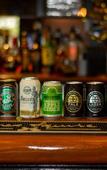 Туры в отель Pint on Punt Backpackers