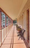 Туры в отель SureStay by Best Western New Inn Richmond
