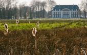 Туры в отель Kasteel Pietersheim Maastricht - Lanaken