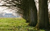 Туры в отель Kasteel Pietersheim Maastricht - Lanaken