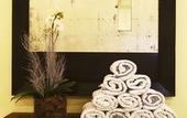Туры в отель Comfort Suites Alphaville