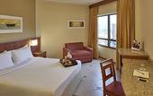 Туры в отель Mercure Florianopolis