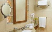 Туры в отель Mercure Florianopolis