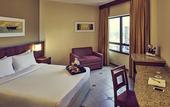 Туры в отель Mercure Florianopolis