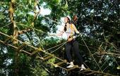Туры в отель Bourbon Thermas Eco Resort Cataratas do Iguacu