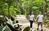 Туры в отель Bourbon Thermas Eco Resort Cataratas do Iguacu