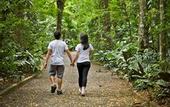 Туры в отель Bourbon Thermas Eco Resort Cataratas do Iguacu