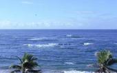 Туры в отель Hotel Dan INN Express Salvador By Nacional Inn