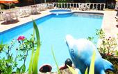 Туры в отель Hotel Pousada Paradise