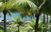 Туры в отель IIlha de Toque Toque Eco Hotel