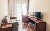 Туры в отель Mercure Sao Caetano Do Sul Hotel