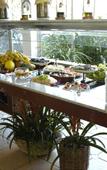 Туры в отель Vitoria Hotel Convention Indaiatuba