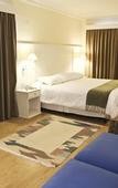 Туры в отель Vitoria Hotel Convention Indaiatuba