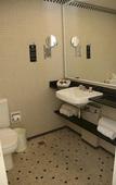 Туры в отель Vitoria Hotel Convention Indaiatuba