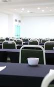 Туры в отель Vitoria Hotel Convention Indaiatuba
