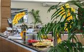Туры в отель Colonial Plaza Hotel