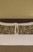 Туры в отель Comfort Suites Vitoria