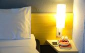 Туры в отель ibis Aracatuba