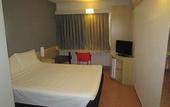 Туры в отель ibis Aracatuba