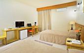 Туры в отель Hotel Dan Inn Araraquara By Nacional Inn