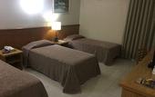 Туры в отель Hotel Dan Inn Araraquara By Nacional Inn