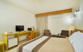 Туры в отель Hotel Dan Inn Araraquara By Nacional Inn