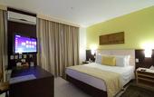 Туры в отель Comfort Hotel Goiania