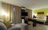 Туры в отель Comfort Hotel Goiania