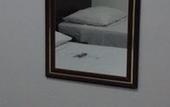 Туры в отель Aton Plaza Hotel