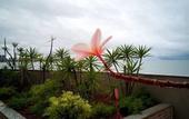 Туры в отель Hotel Verdegreen