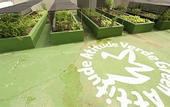 Туры в отель Hotel Verdegreen